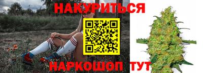 молекула духа Пугачёв