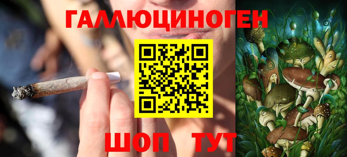Галлюциногенные грибы прущие грибы Спасск-Дальний